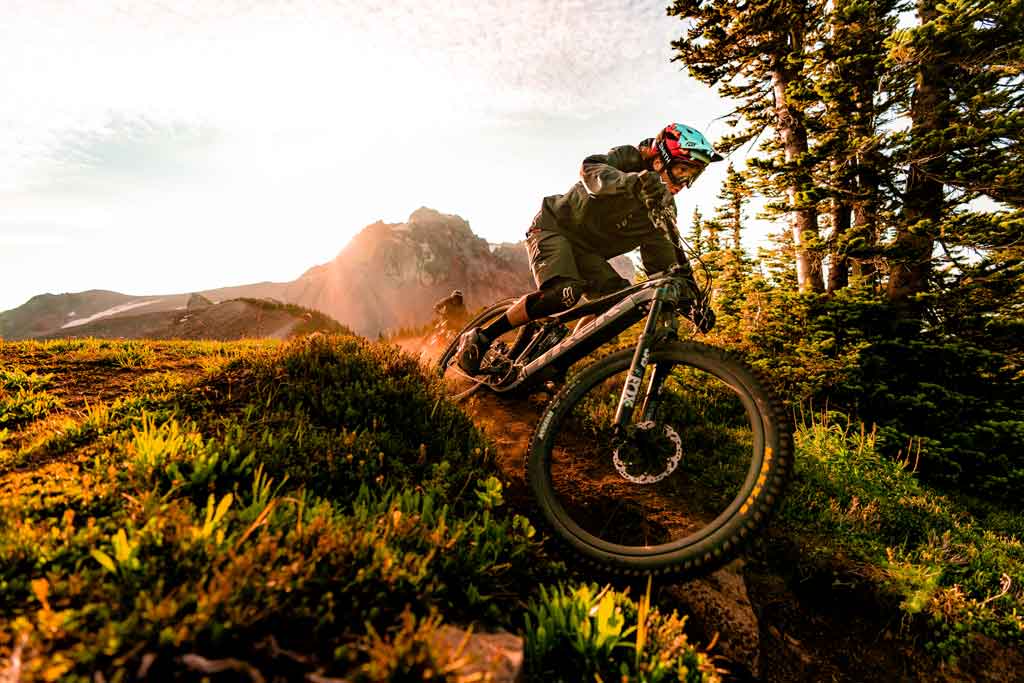 E-MTB Fully