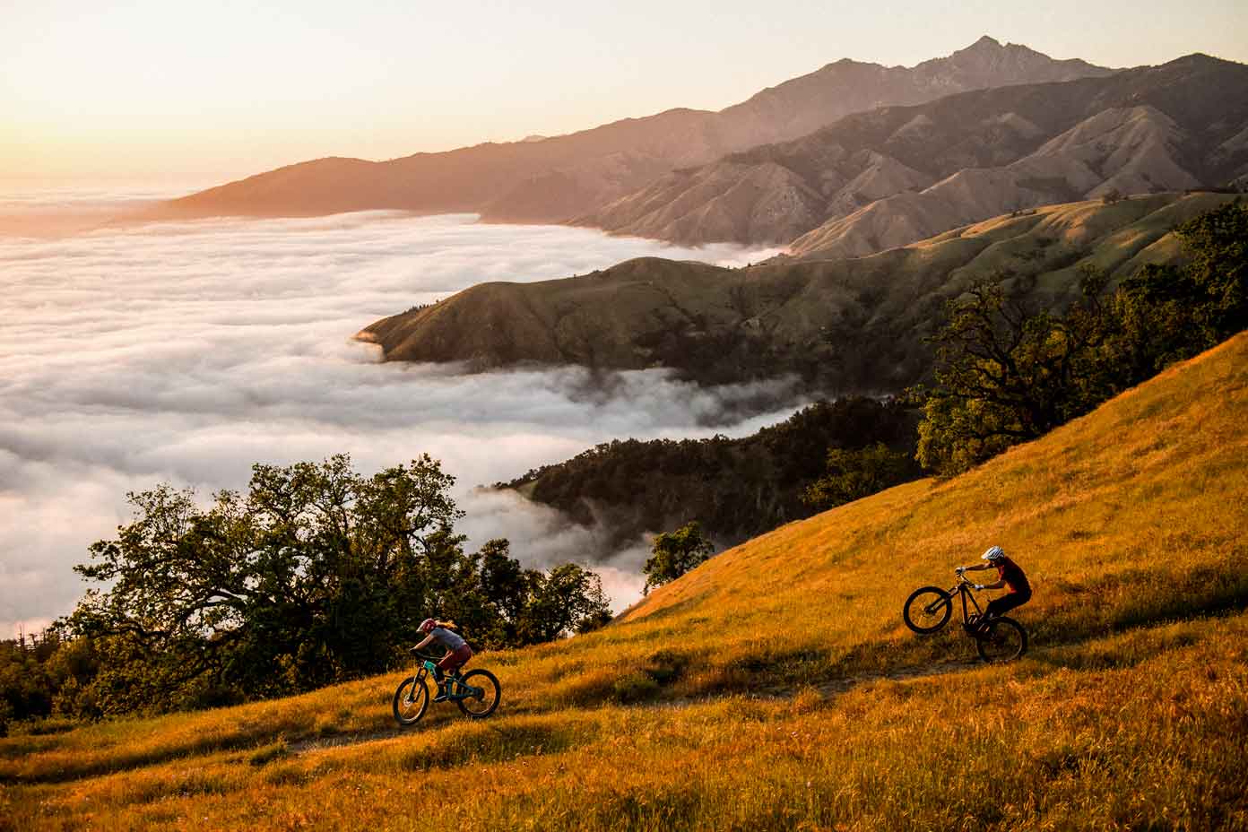 MTB Fully